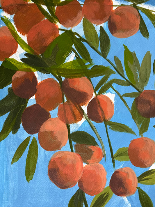 Mandarins I