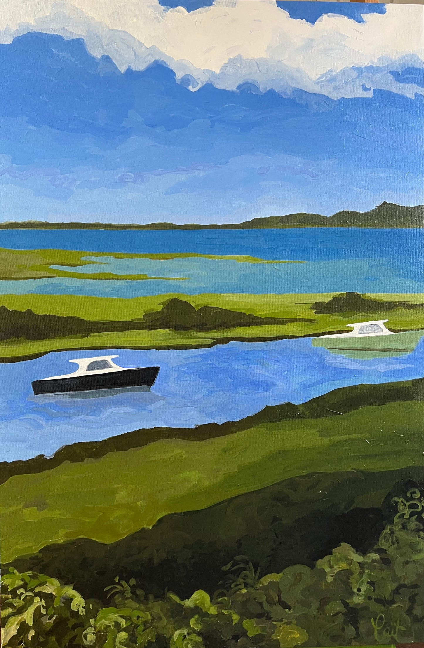 "Picnic Boats"