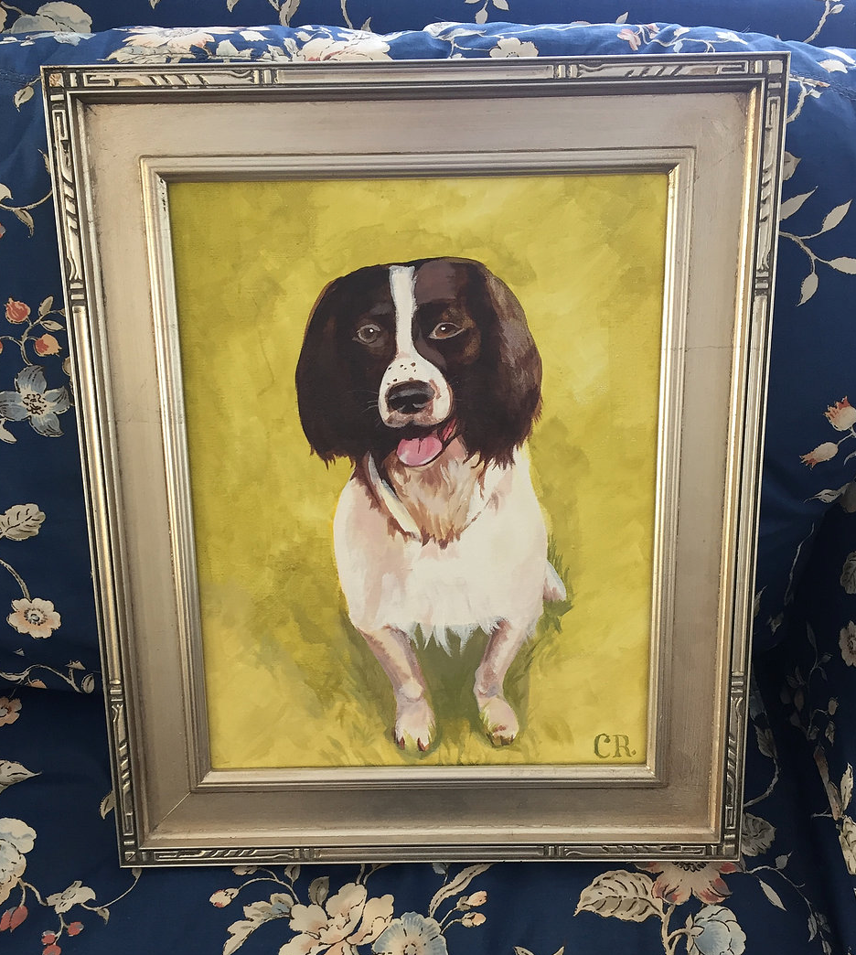 Pet Portraits