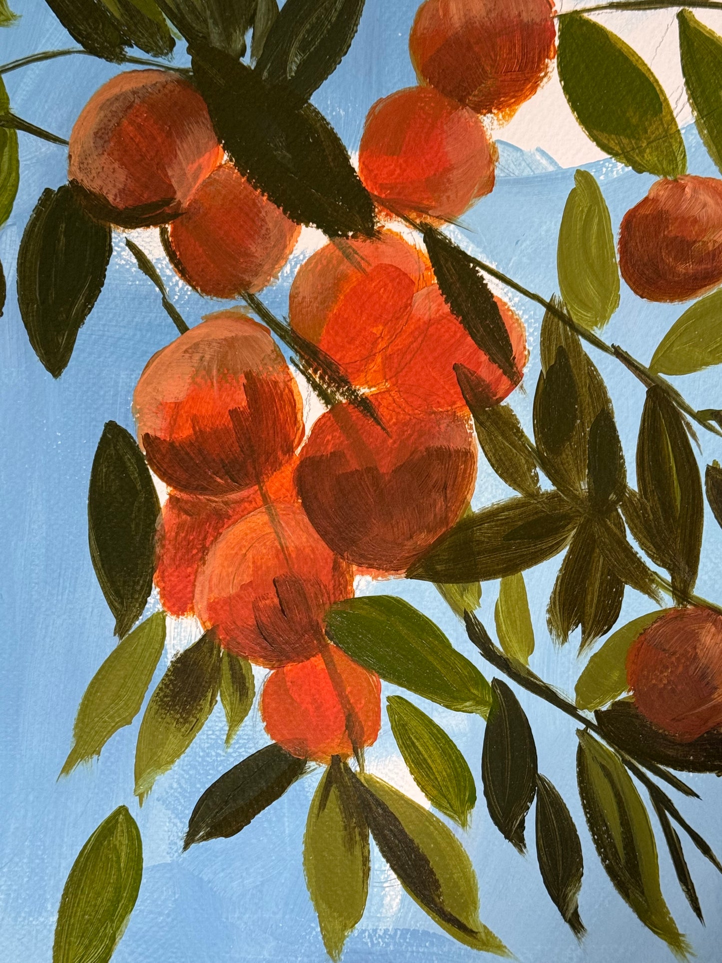 Mandarins II